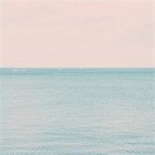shell8
