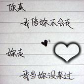 qwezd123