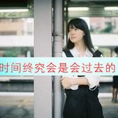 秀气的枫叶